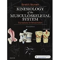 Kinesiology Of The Musculoskeletal System Foundations For Rehabilitation 